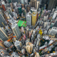Wan Chai, Hong Kong—Urban Jungle